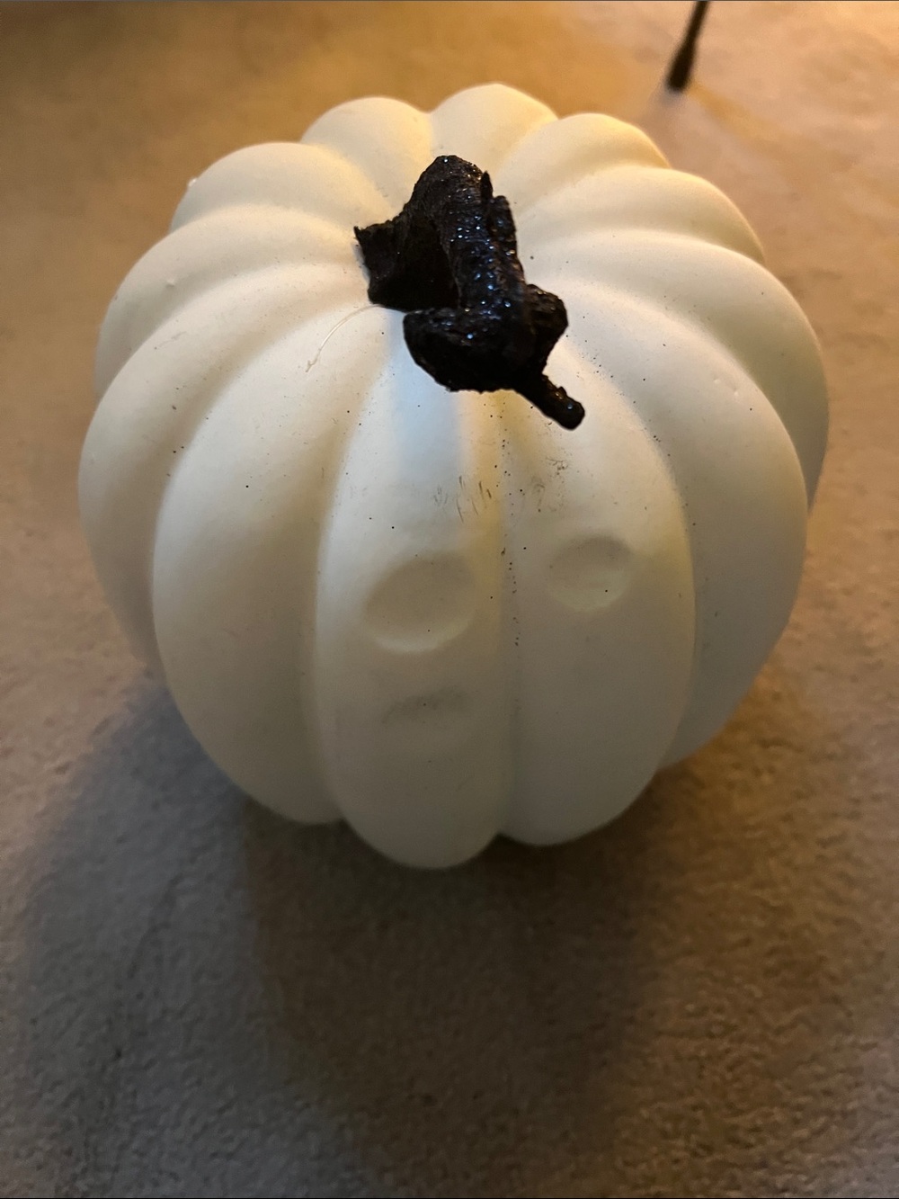 White Decorative Pumpkin with Black Stem
